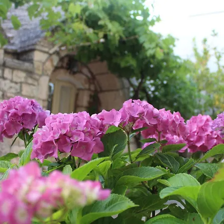 度假居 I Trulli Di Claudio
